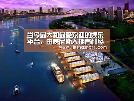案例展示八